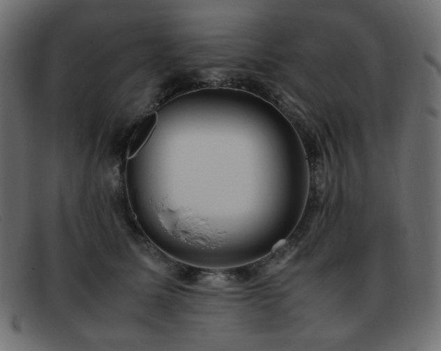 X0000093370611200710111438