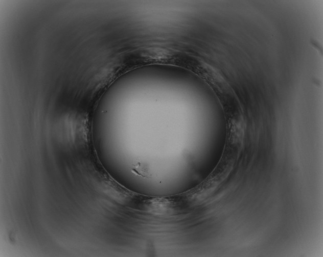 X0000093370612200710111438
