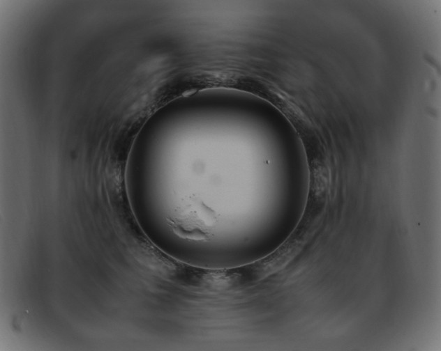 X0000093370613200710111438