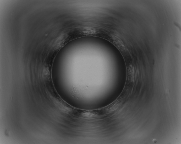 X0000093370614200710111438
