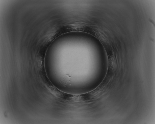 X0000093370615200710111438