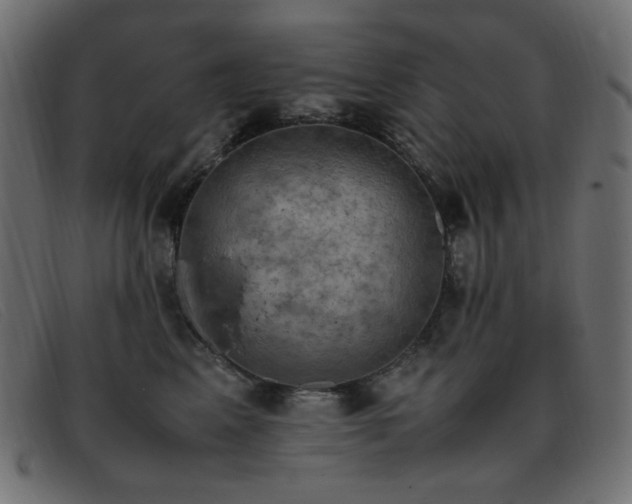 X0000093370617200710111437