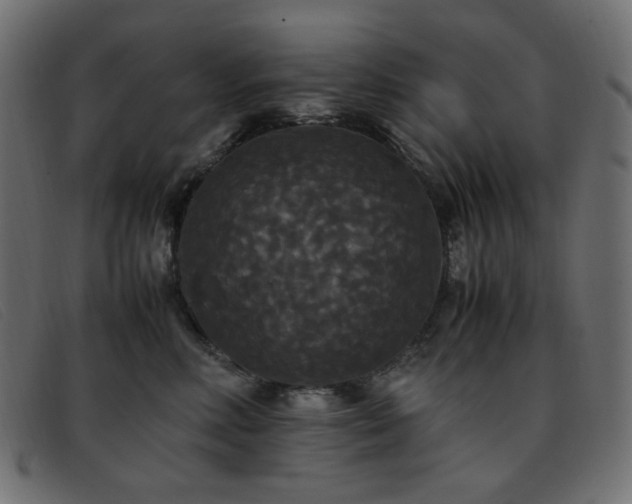 X0000093370618200710111437