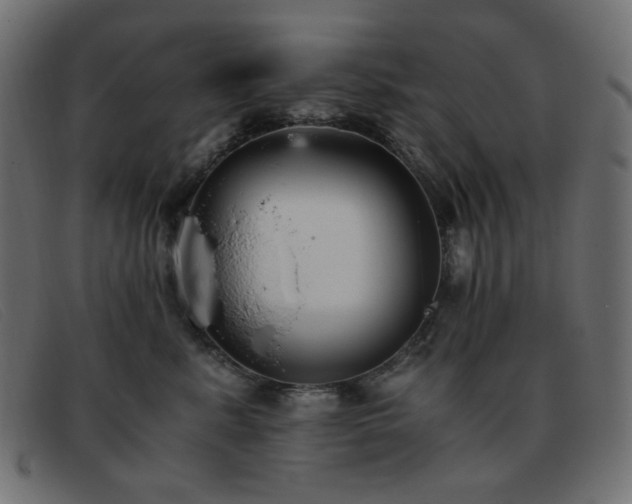 X0000093370619200710111437