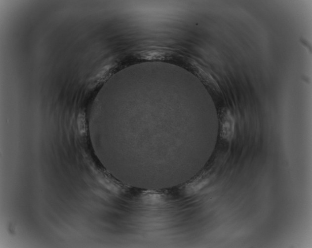 X0000093370620200710111437
