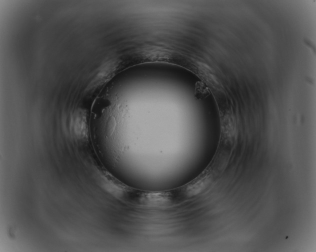 X0000093370622200710111437