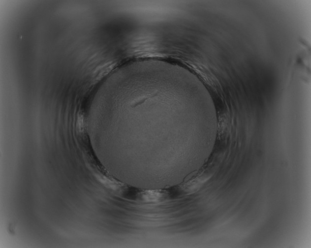 X0000093370623200710111437