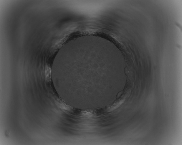 X0000093370624200710111437