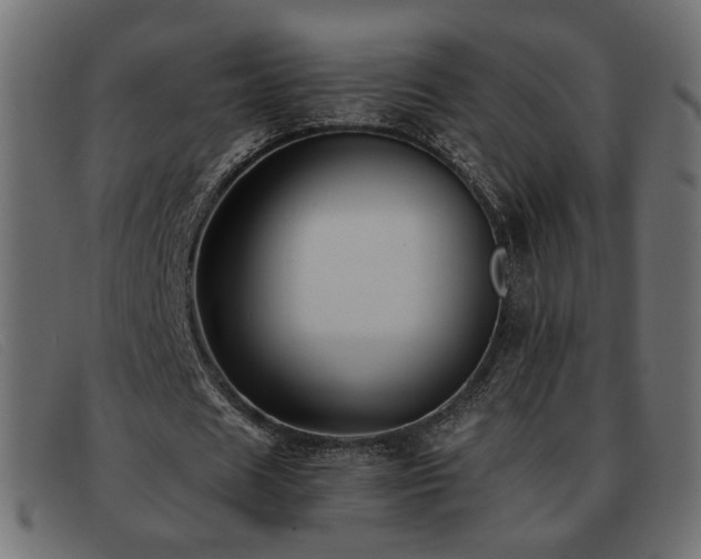 X0000093370625200710111437