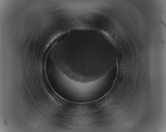 X0000093370626200710111437
