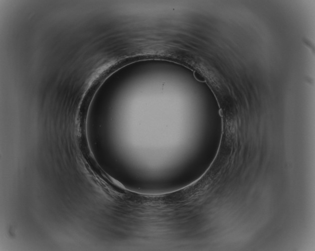 X0000093370628200710111437