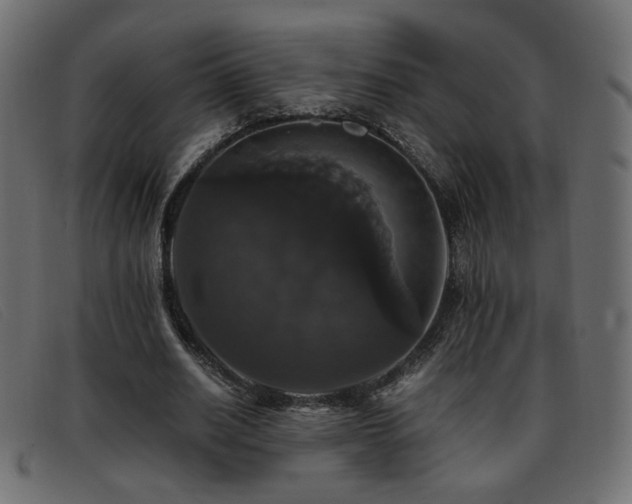 X0000093370630200710111437