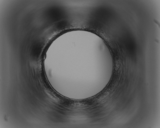 X0000093370632200710111437