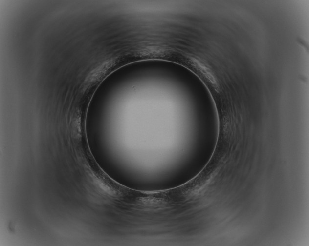 X0000093370633200710111437
