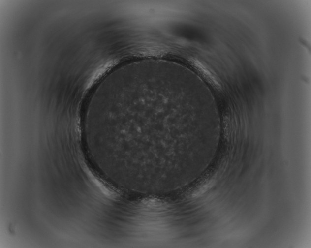 X0000093370634200710111437