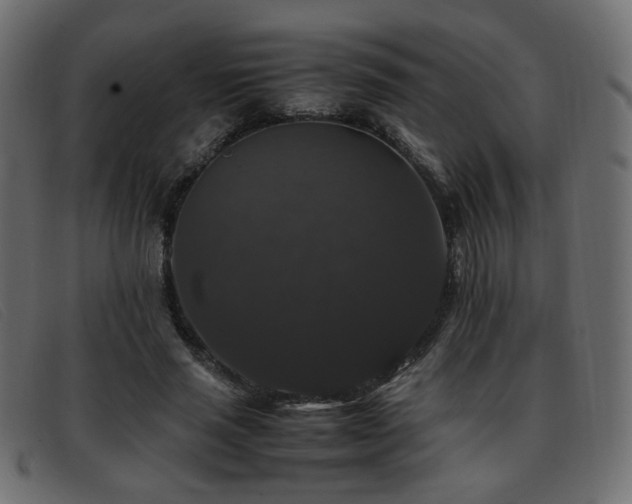 X0000093370637200710111437