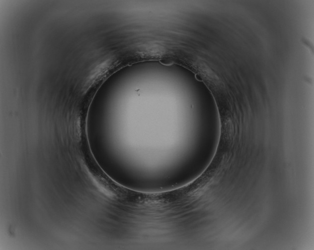X0000093370638200710111437