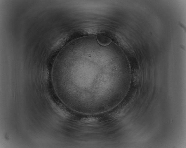 X0000093370639200710111437