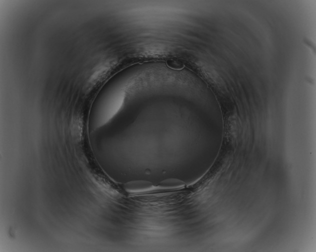 X0000093370640200710111437