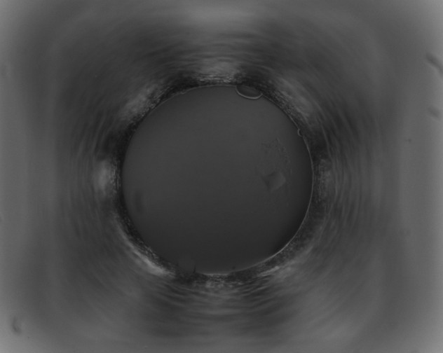 X0000093370641200710111437