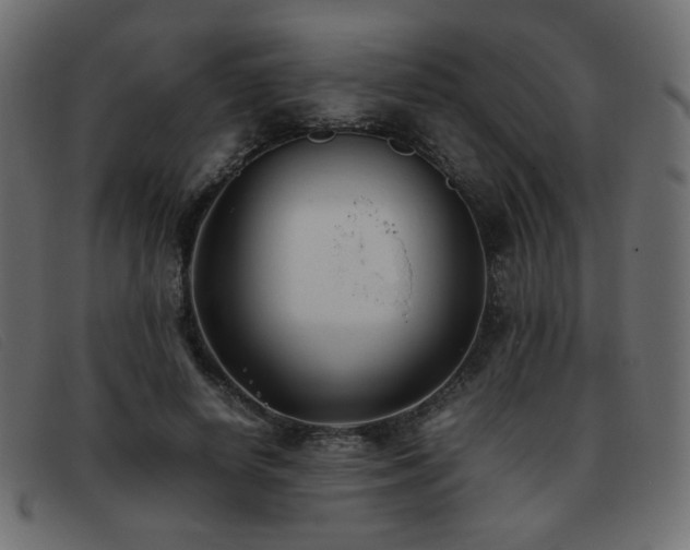 X0000093370642200710111437