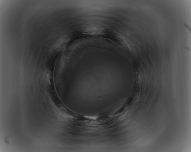 X0000093370643200710111437