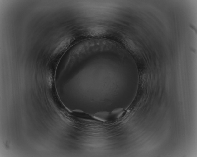 X0000093370644200710111437