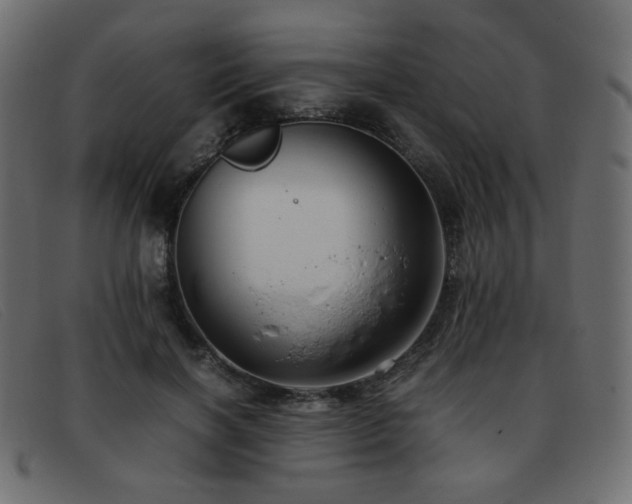 X0000093370646200710111437