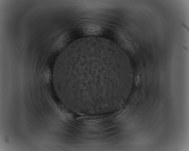 X0000093370647200710111437