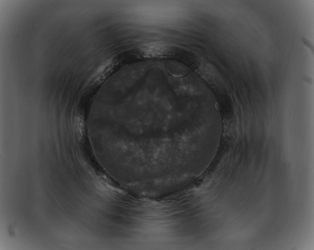 X0000093370648200710111437