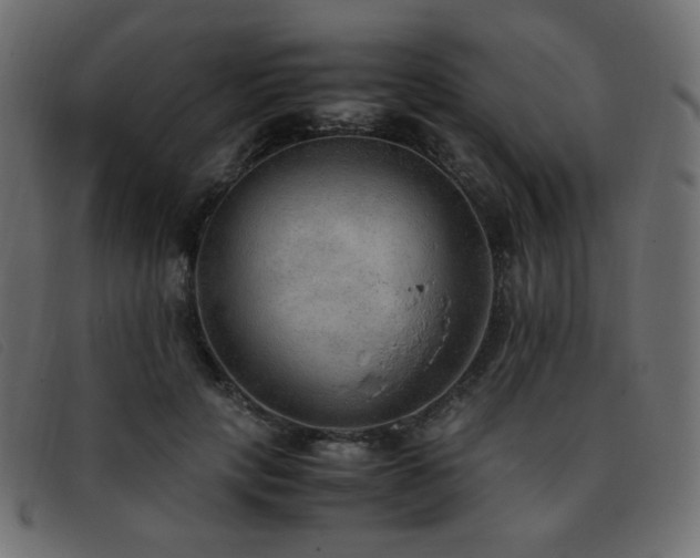 X0000093370649200710111437