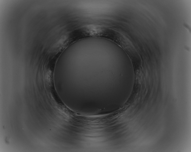 X0000093370650200710111437
