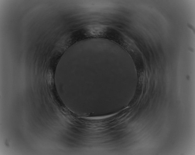 X0000093370651200710111437