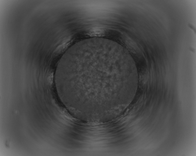 X0000093370652200710111437