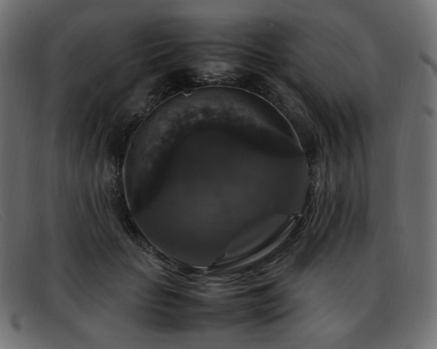 X0000093370653200710111437