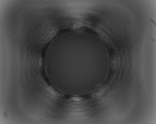 X0000093370654200710111437