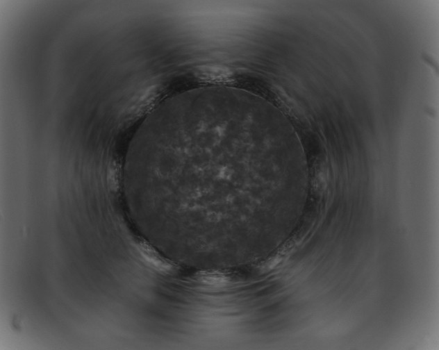 X0000093370658200710111437