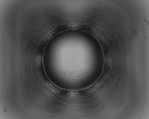 X0000093370660200710111437
