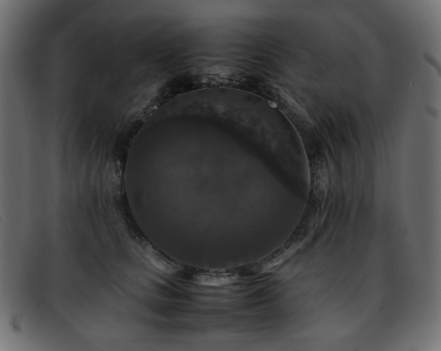 X0000093370661200710111437