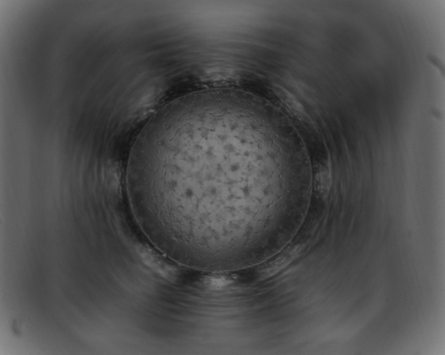 X0000093370662200710111437