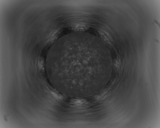 X0000093370663200710111437