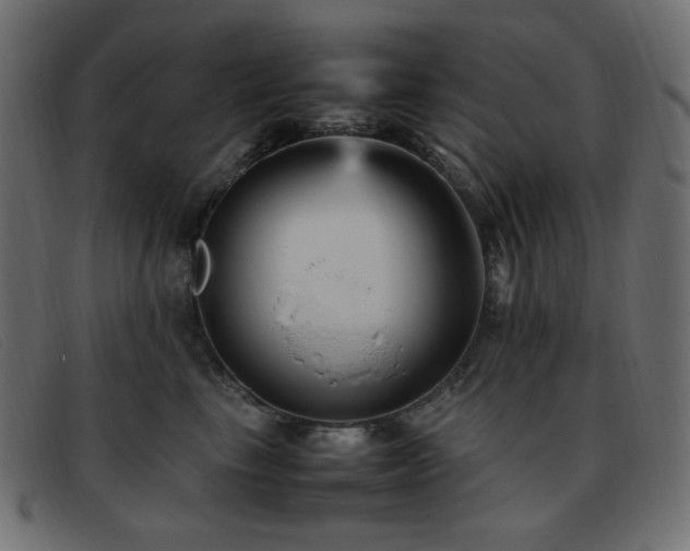 X0000093370665200710111437