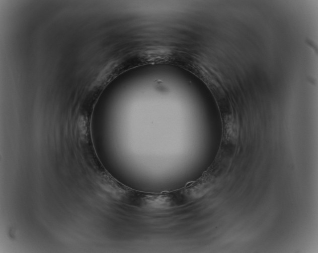 X0000093370667200710111437
