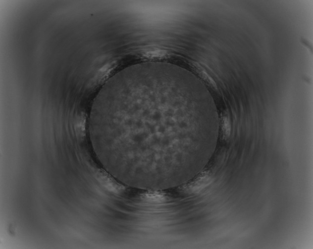 X0000093370668200710111437