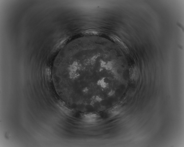 X0000093370669200710111437