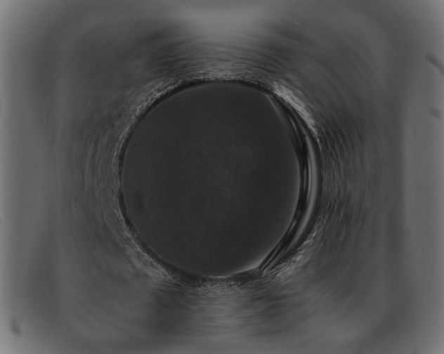 X0000093370673200710111437
