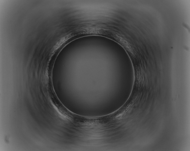 X0000093370674200710111437