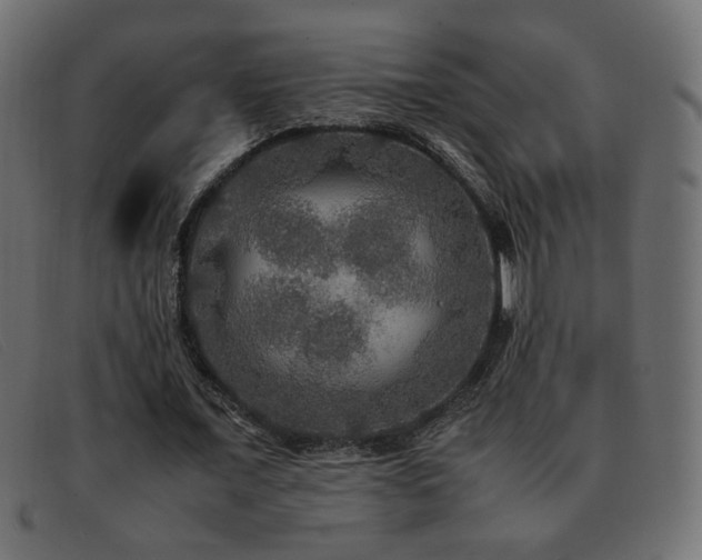 X0000093370675200710111437