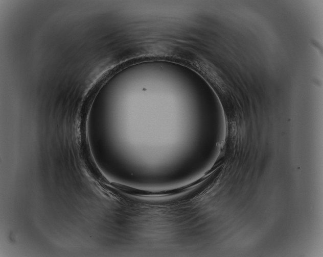 X0000093370676200710111437