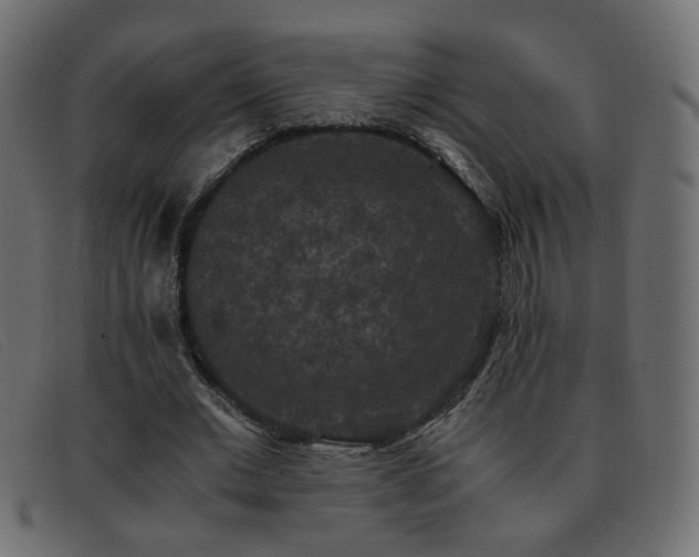 X0000093370677200710111437